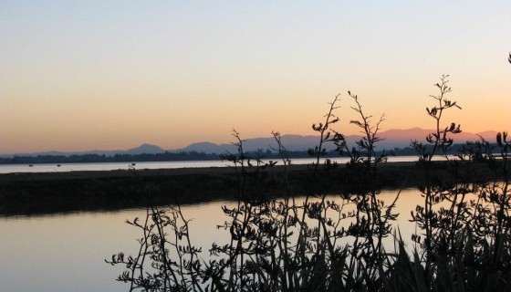 Te Waihora Ngai Tahu