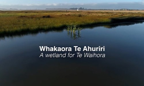 Whakaora Te Ahuriri Documentary tile