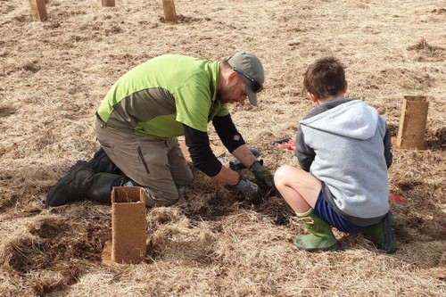 Schoolkids planting