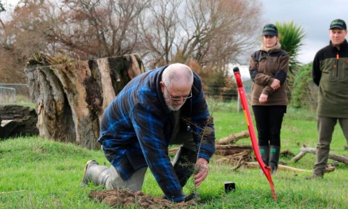 planting ahuriri 960x700 v2