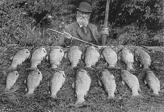 A historic black and white photo of a man with a bowler hat and cane in front of 15 brown trout
