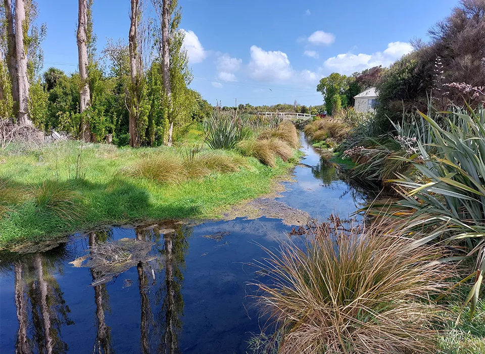 The Te Waikēkēwai stream