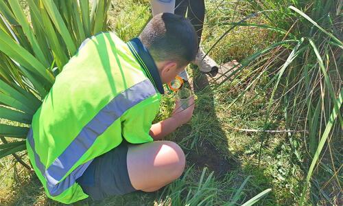 Te Rohutu Whio Schools student searhcing for invertabrates(1)