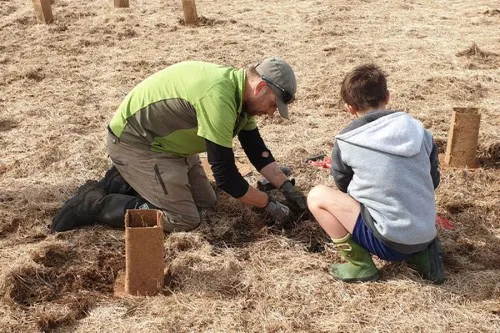 Schoolkids planting