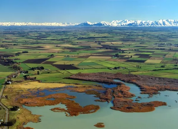 Te  Waihora/Lake Ellesmere