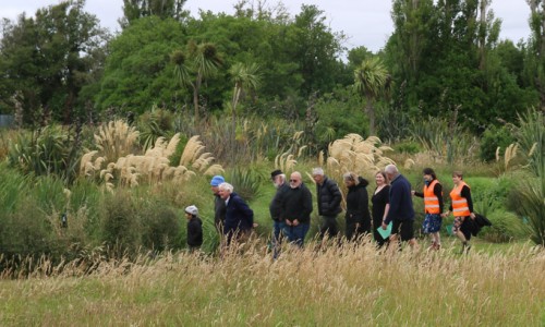 Te Waikēkēwai constructed wetland header copy